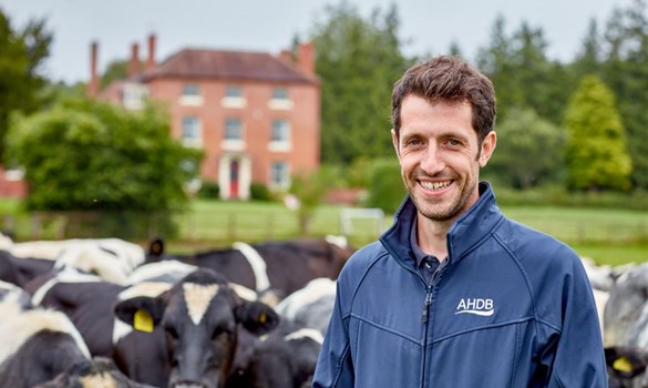 Beef & Lamb farmer Ian Farrant stood in a field with his cows